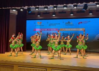 大埔區第四十四屆校際舞蹈比賽5