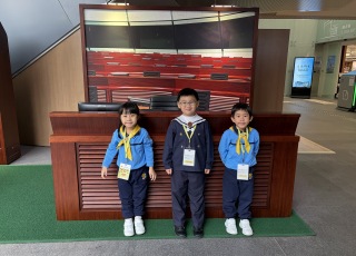 IMG-10