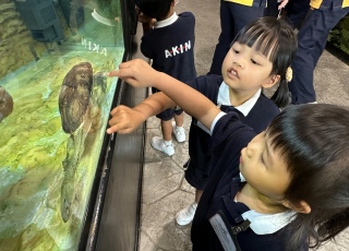 參觀爬蟲館