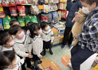 參觀竉物店