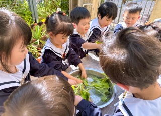 IMG_2498