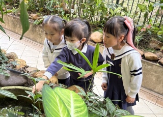IN4 RainbowGarden