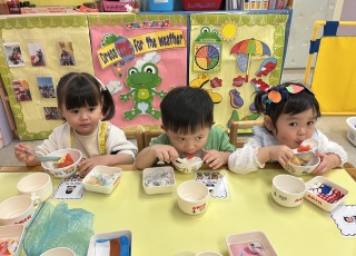開心果日6