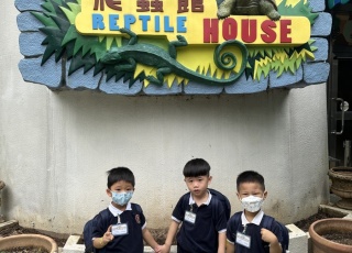 IMG_2228
