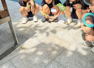 K2參觀廣福公園