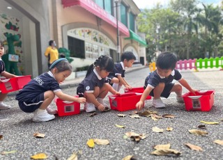 Leaf picking activity