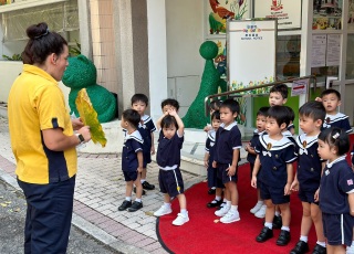 Picking Leaves Activity