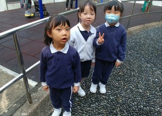 STEAM Outdoor Exploration Learning Activity