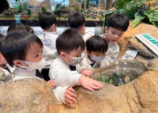 參觀海濱公園昆蟲館10