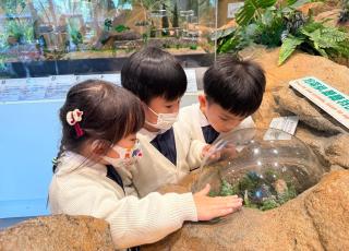 參觀海濱公園昆蟲館11