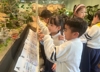 參觀海濱公園昆蟲館3