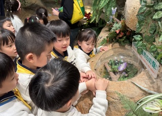 參觀海濱公園昆蟲館5