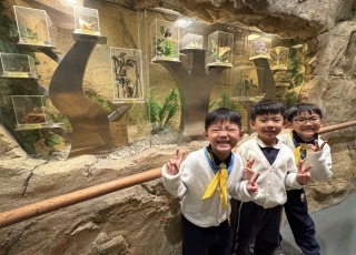 參觀海濱公園昆蟲館6