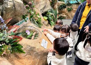 參觀海濱公園昆蟲館8