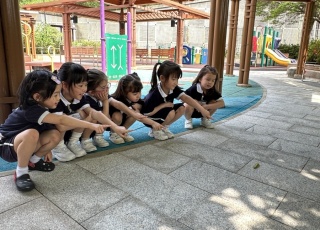 Visit to Kwong Fuk Park