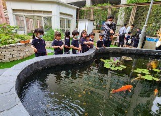 Visit to Po Leung Kuk Tin Ka Ping Millennium Primary School