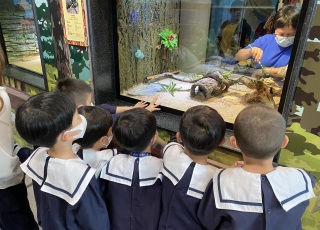 Visit Tune Mun Park Reptile House