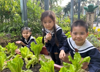 Whole day class planting activities