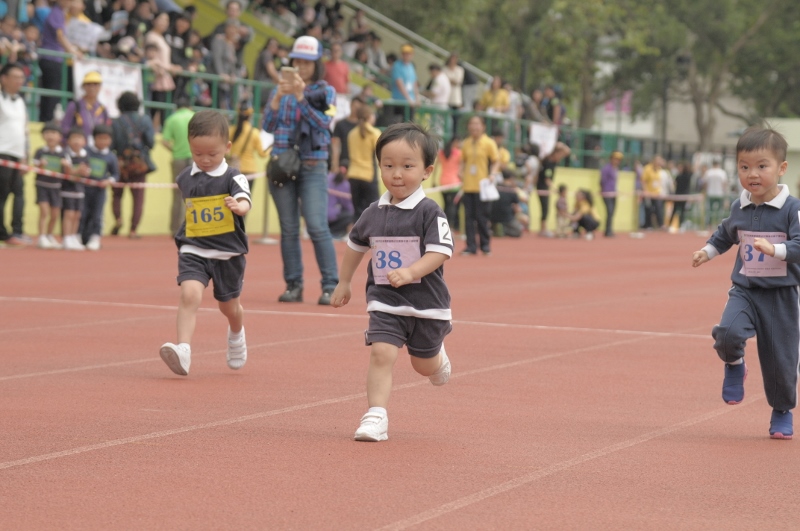 HCK_4579-800x531